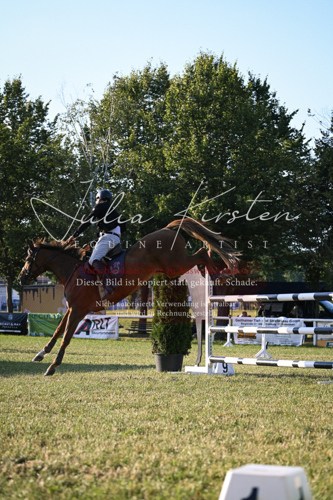 DSC_1839 | Pferde- und Turnierfotografie in Westsachsen. Pferdeportraits, Auftragszeichnungen und intuitive Kunst.