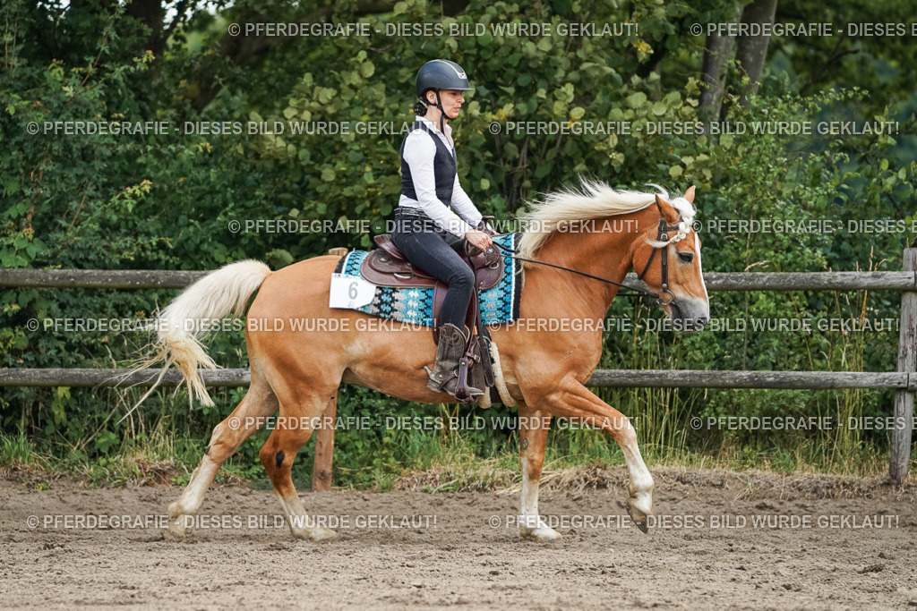 DSC03524 | Pferdegrafie