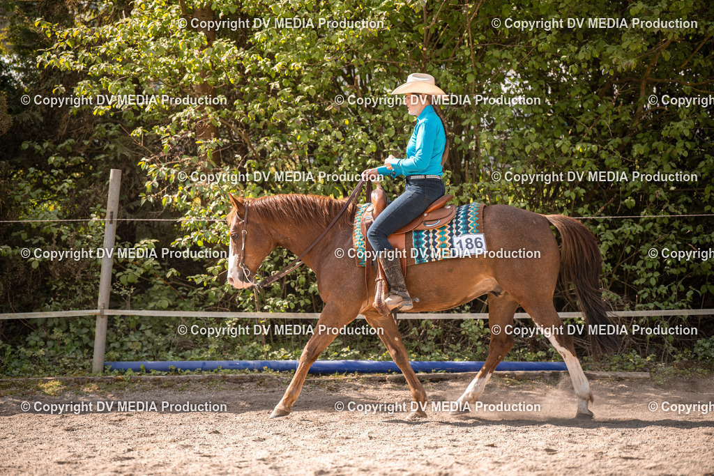 Balingen Tag 5-240 | dv-media-shop - Realisiert mit Pictrs.com