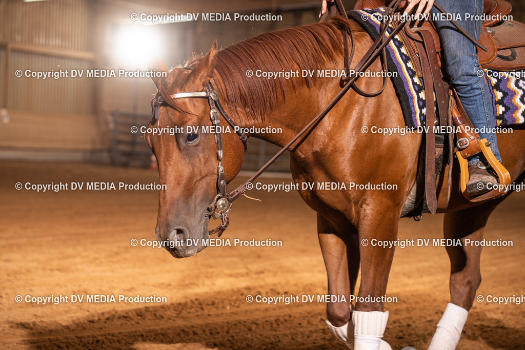 NID01001 | dv-media-shop - Realisiert mit Pictrs.com