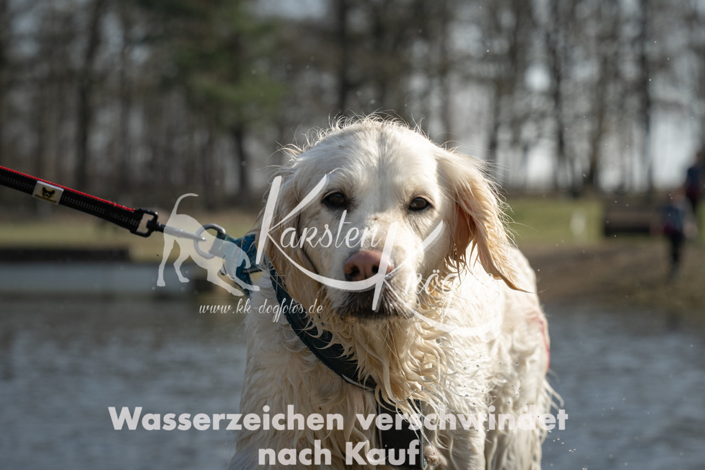 1259_ZZ93550 | kk-dogfotos