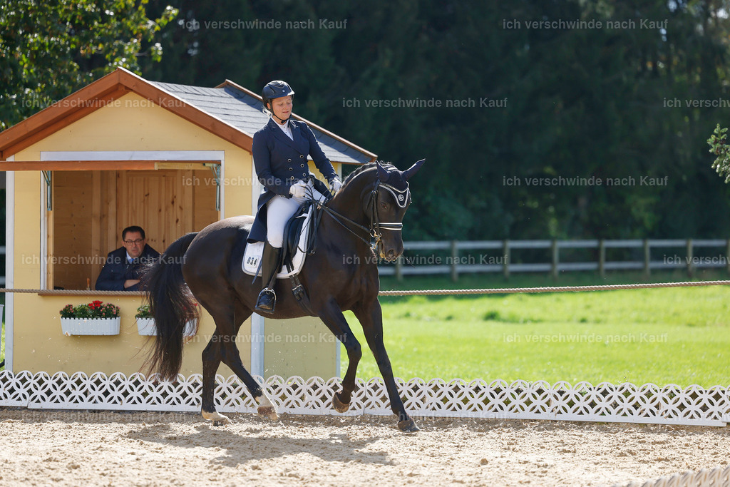 09_2-034-DRESSUR  S_  -StoibPH-5822 | working equitationturnier fotograf videograf stoibphotography marixx film working equitation deutschland reitsport turnierfotografie eventfotografie equestrian events