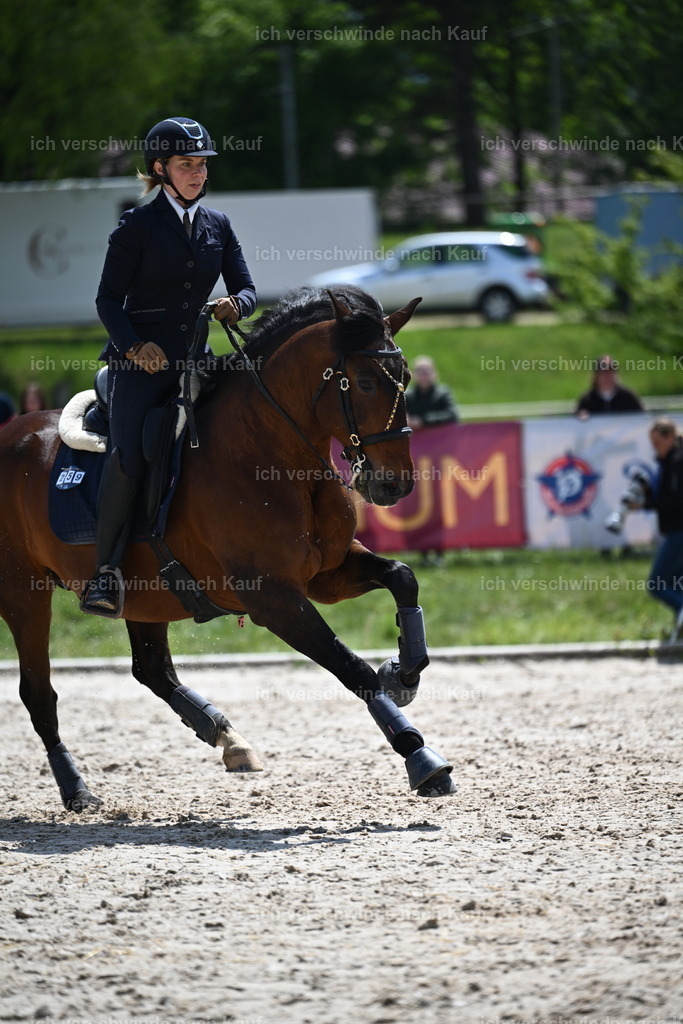 PI26_SP_Sara_Landvogt_226_5770.JPG | working equitationturnier fotograf videograf stoibphotography marixx film working equitation deutschland reitsport turnierfotografie eventfotografie equestrian events