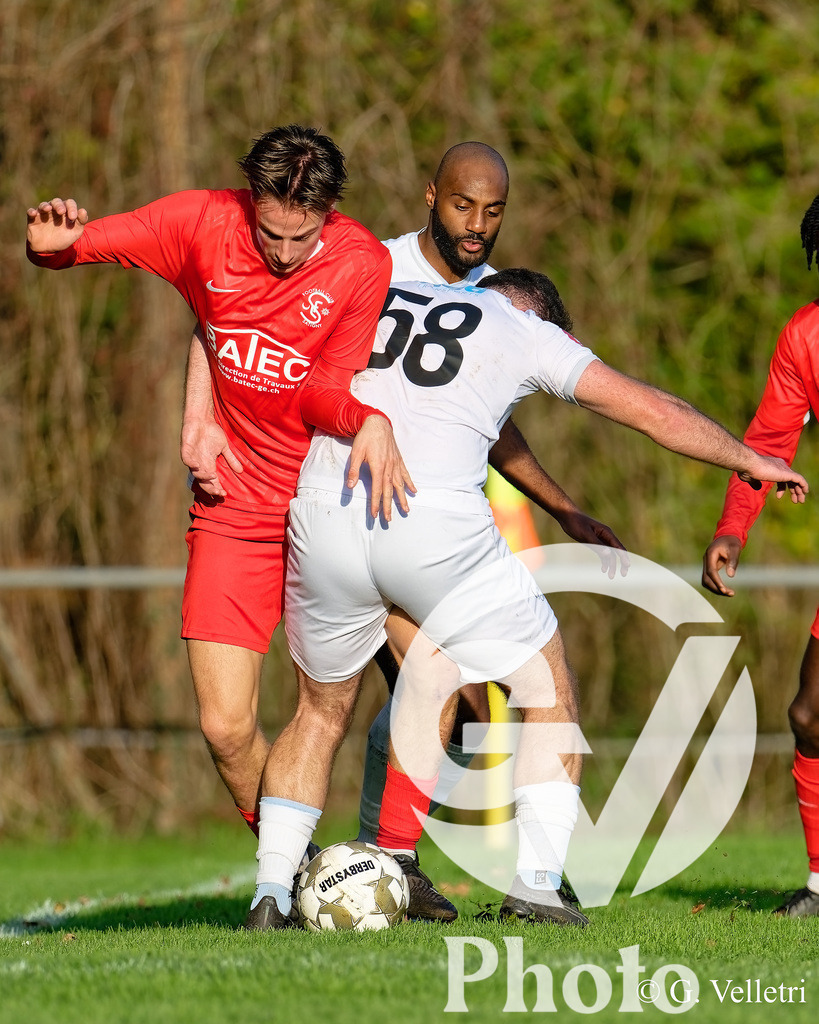 DZ9_1413 | Velletri Photo