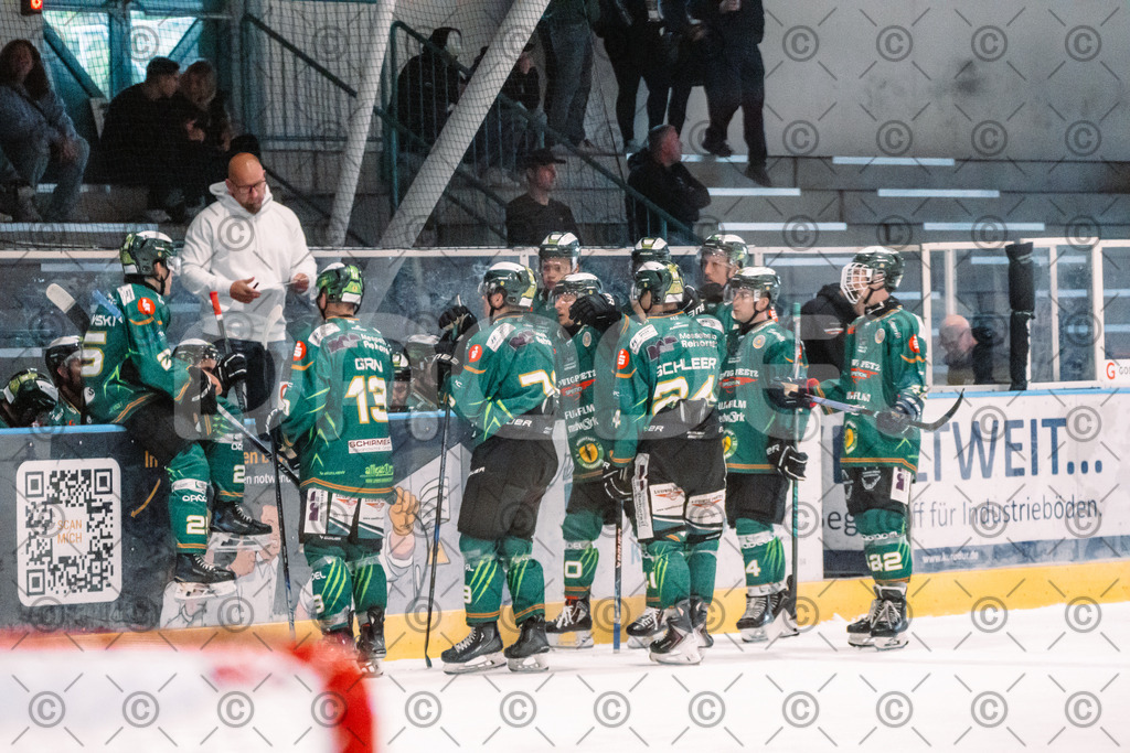 Alligators_vs_Erfurt_06_09_2026-28 | Die Fotogalerie von Daddel: professionelle Bilder von Sport, Events und Unternehmen aus Franken. Jetzt Galerien durchstöbern und Lieblingsfotos bestellen. - Realisiert mit Pictrs.com