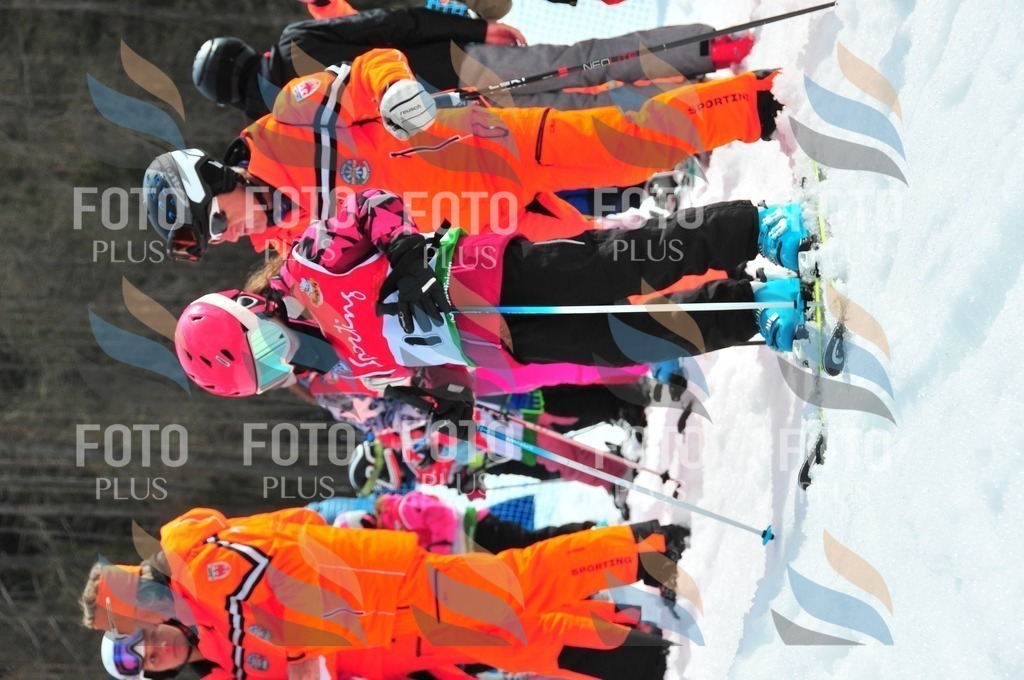 C1003 | holidayphoto