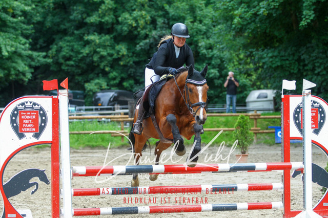DKP45047 | Turnierfotos kaufen im Webshop von Daniel Kuhl Photography – entdecke professionelle Reitsportfotos aus Turnieren & Events. Hochwertige Turnierbilder online bestellen & sichern. Jetzt Fotos von Reitsportturnieren kaufen!