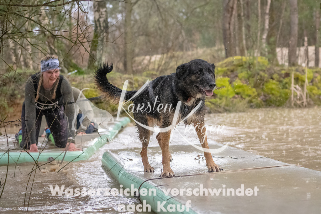 0906_ZZ90257-Bearbeitet | kk-dogfotos