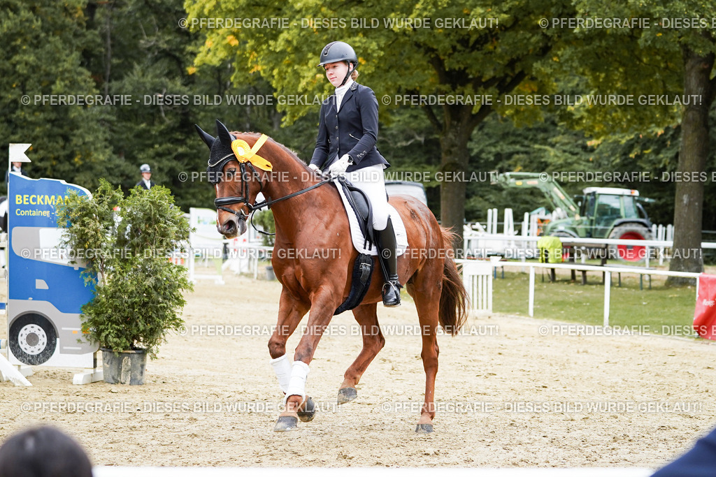 DSC02460 | Pferdegrafie