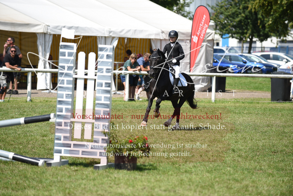 DSC_9894 | Pferde- und Turnierfotografie in Westsachsen. Pferdeportraits, Auftragszeichnungen und intuitive Kunst.