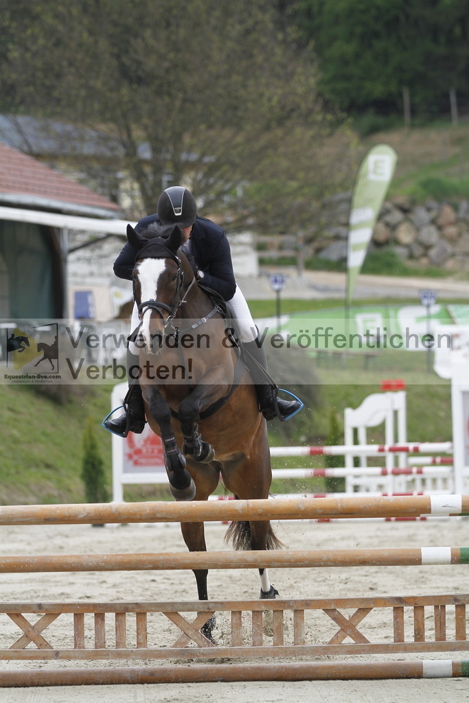 _MG_1491 | equestrian-live-com