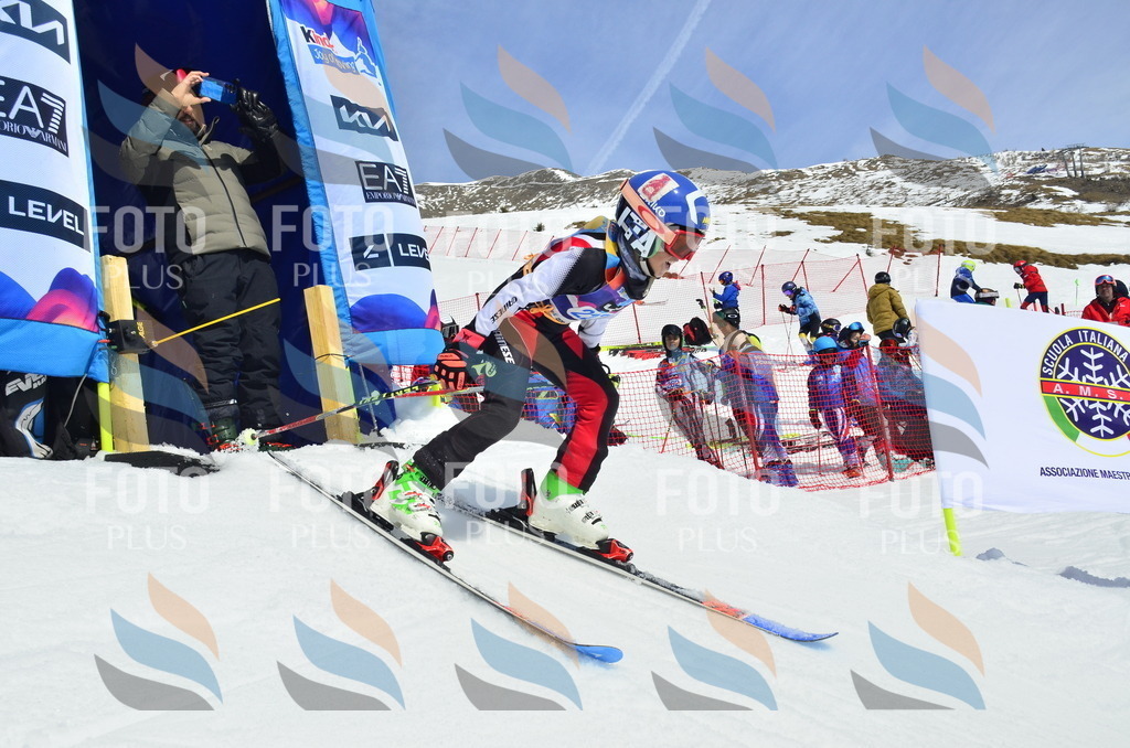 _ELE1575 | holidayphoto