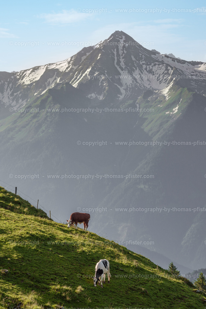 Zillertal Höhenstrasse Sommer Schwendberg copyright  Thomas Pfister-3 | PHOTOGRAPHY BY THOMAS PFISTER