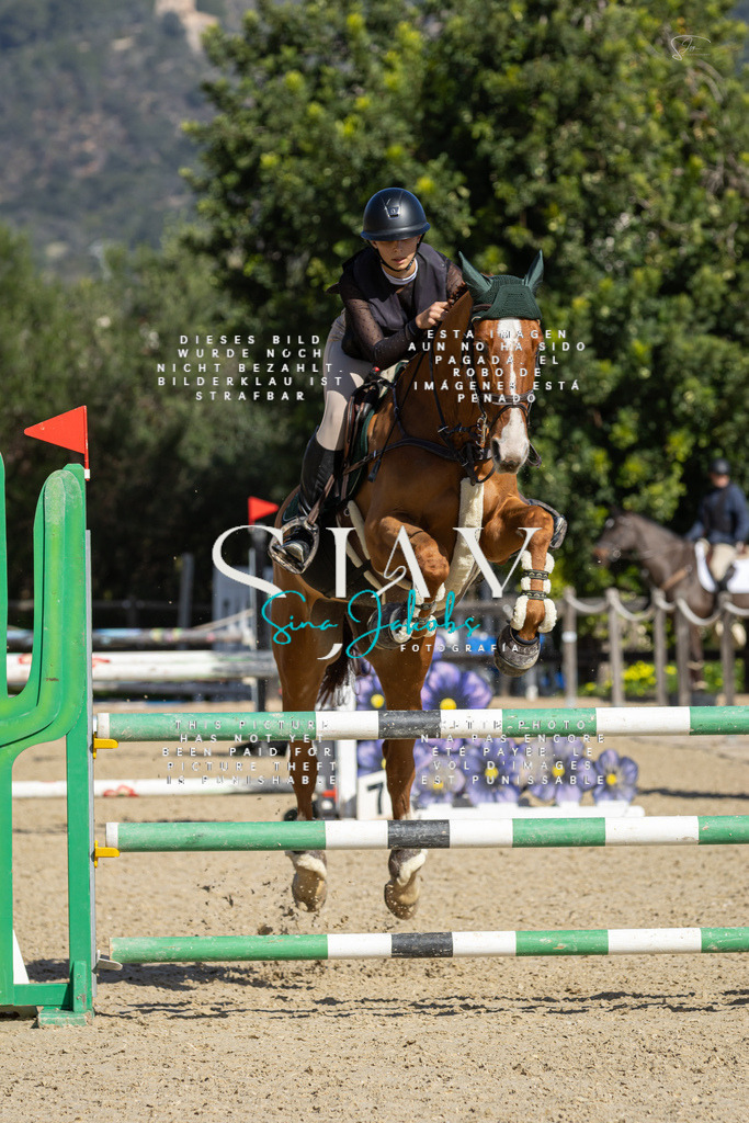 IMG_6526 | s-jay-photography - Realisiert mit Pictrs.com