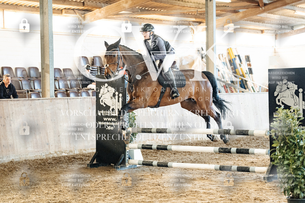CK904640 | Turnierfotografie Pferdefotografie Trier Rheinland-Pfalz Pferdesport Reitsport Tierfotografie Sportfotografie Pferdevideo Pferdevideografie Equestrianvideography equestrianphotography  - Realisiert mit Pictrs.com