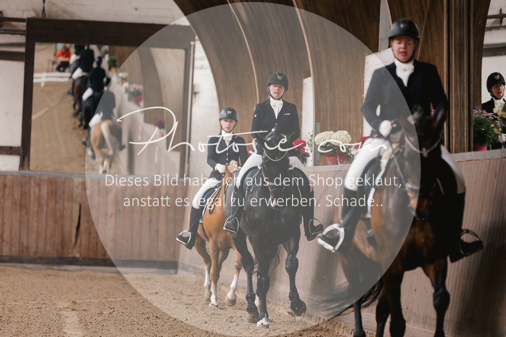 3I6A7053 | Stimmungsvolle Portraits und Reitsportfotografie im Ruhrgebiet und im Münsterland.

Pferdefotografie, Hundefotografie, Tierfotografie, Reportagen, Portraits von Tier und Mensch, Turnierfotografie in Bochum, Recklinghausen, Marl, Haltern am See, Dülmen.. - Realisiert mit Pictrs.com