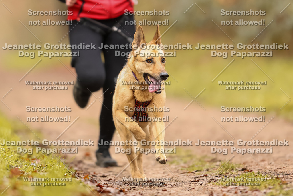 Dog Paparazzi - Speedhunter Mannheim  2025-134 | Dog Paparazzi Jeanette Grottendiek Fotografie & Videografie
