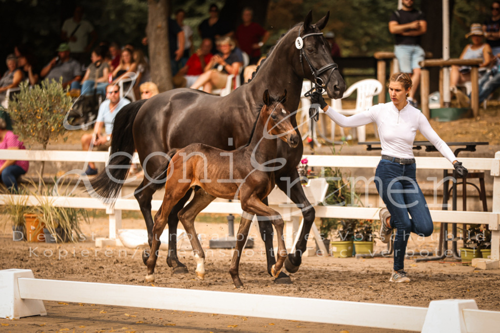 SaPA00127 | Leoni Ertmer Photography - Realisiert mit Pictrs.com