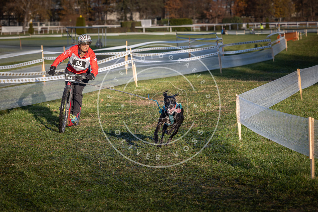 CaniXpix_0L8A3796 | Hundefotografie, Tierfotograf, Pfotenfotografie, Fotoshooting Hund, Hunde Portrait, Hundesport, Hundeportraits, Heideshooting, Hunde, Sportfotograf, Hundefotograf, Turnierhundsport, THS,  - Realisiert mit Pictrs.com