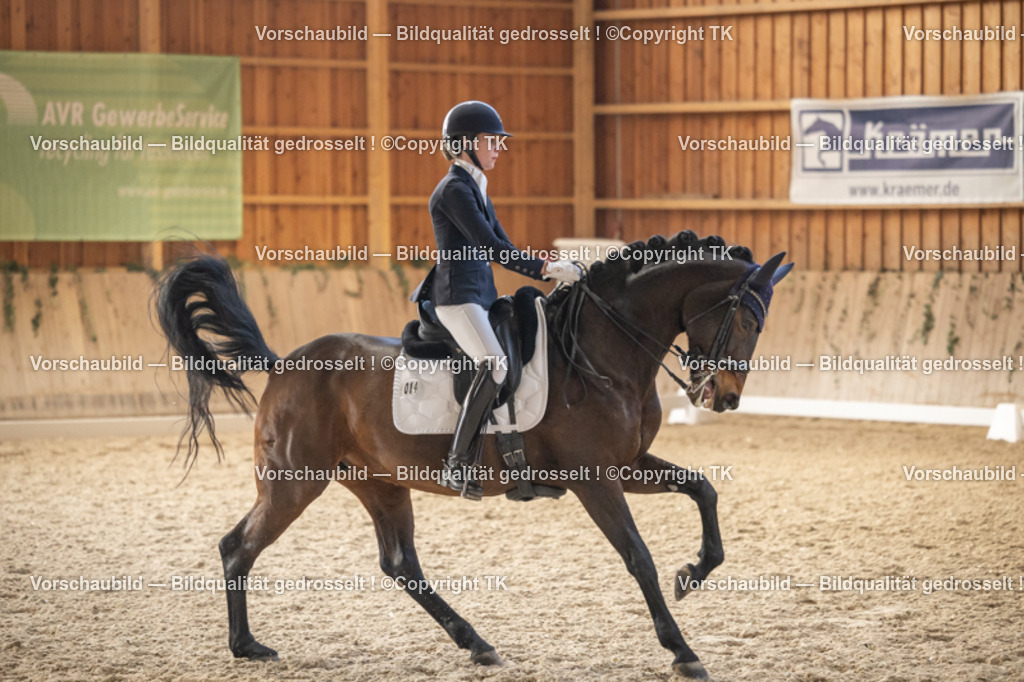 _D5A6458 | Emotionale Pferde- & People-Fotografie rund um Heidelberg, Leimen & Umgebung. Natürliche Fotos von Pferd, Mensch & Familie. Jetzt Termin sichern!