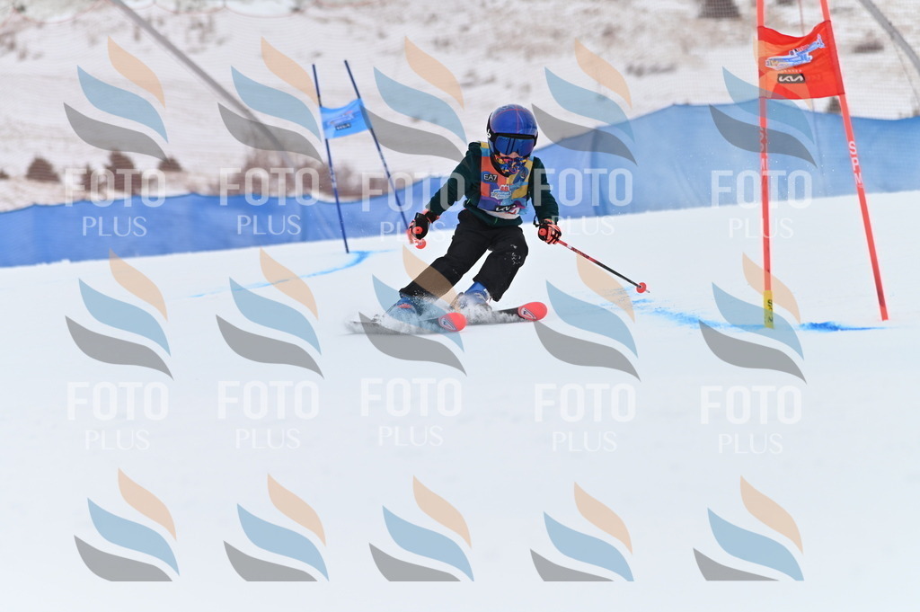 BGV_9568 | holidayphoto