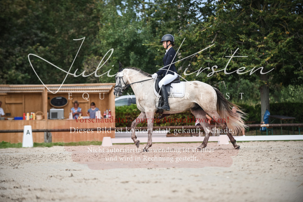 DSC_8676 | Pferde- und Turnierfotografie in Westsachsen. Pferdeportraits, Auftragszeichnungen und intuitive Kunst.