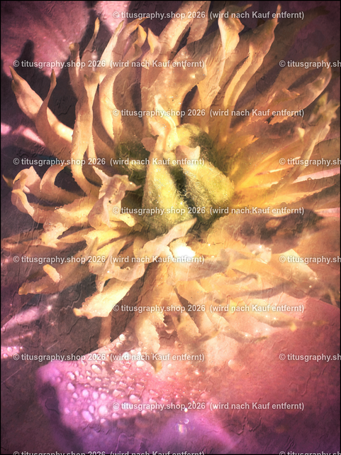 P1000099-b3a_pe-02 | Fotokunstarbeit aus der INSTAGRAM-Gallerie auf titusgraphy.eu - Realisiert mit Pictrs.com