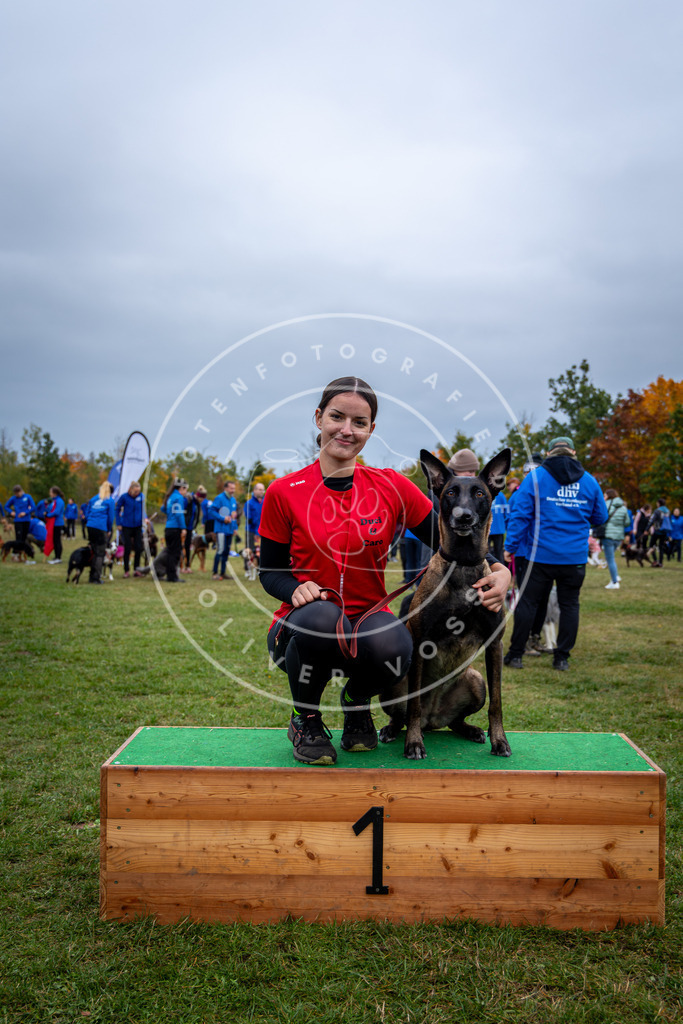 Pfotenfotografie_0L8A0741 | Hundefotografie, Tierfotograf, Pfotenfotografie, Fotoshooting Hund, Hunde Portrait, Hundesport, Hundeportraits, Heideshooting, Hunde, Sportfotograf, Hundefotograf, Turnierhundsport, THS,  - Realisiert mit Pictrs.com