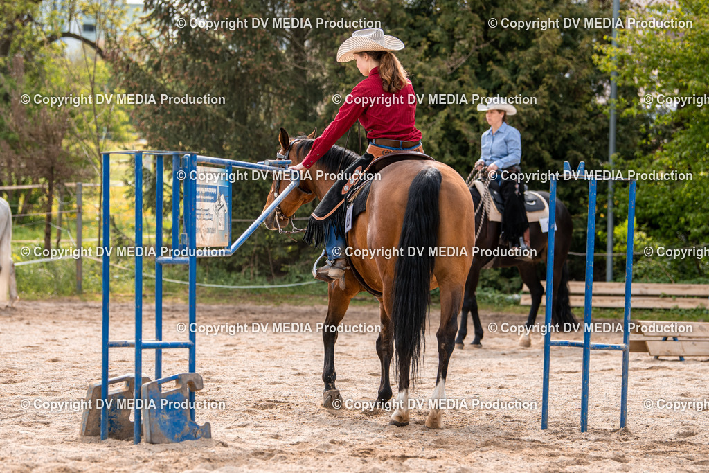 Balingen Tag 3-280 | dv-media-shop - Realisiert mit Pictrs.com