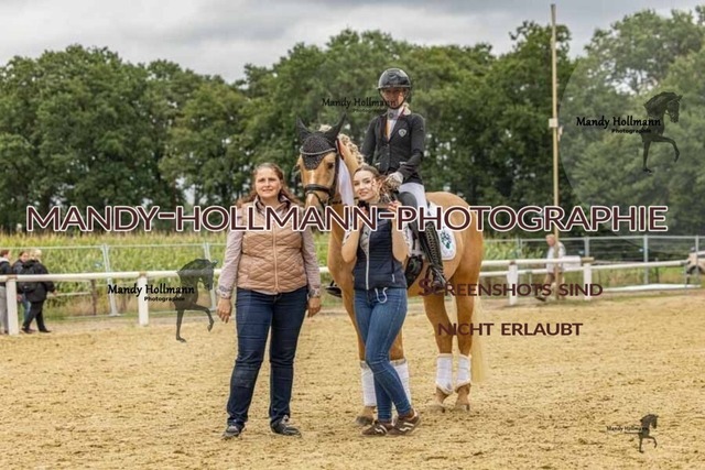30-8-26 4j Hengste-505 | mandyhollmannphotographie