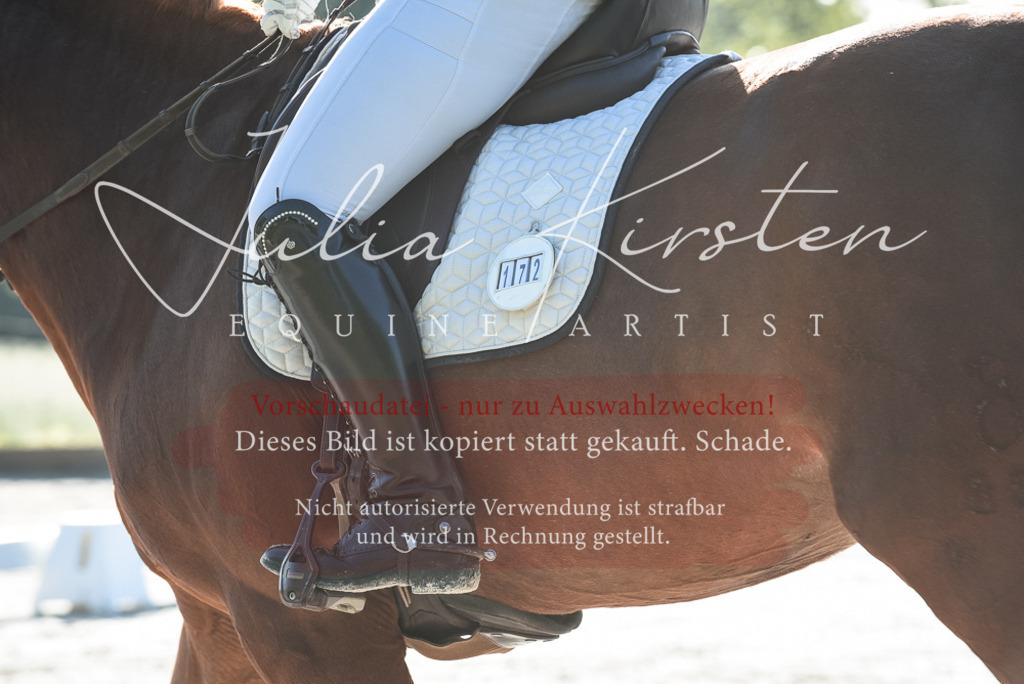 20230518_JK-Röhrsdorf-09-0114 | Pferde- und Turnierfotografie in Westsachsen. Pferdeportraits, Auftragszeichnungen und intuitive Kunst.