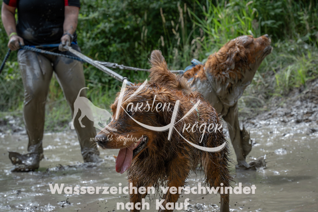 1403_ZZ90748-Verbessert-RR | kk-dogfotos