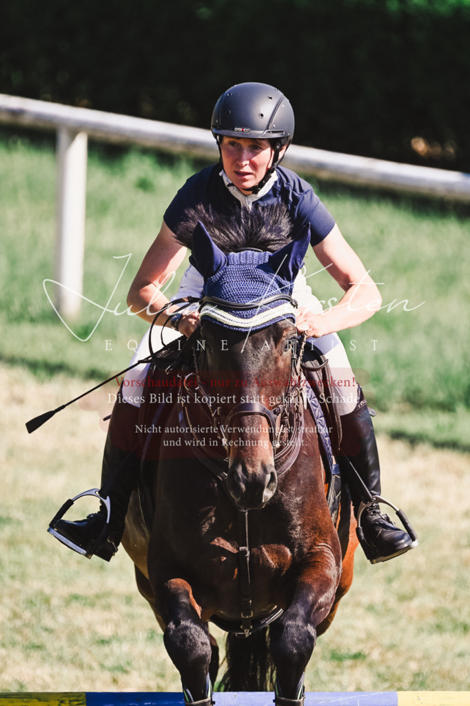 DSC_1831 | Pferde- und Turnierfotografie in Westsachsen. Pferdeportraits, Auftragszeichnungen und intuitive Kunst.