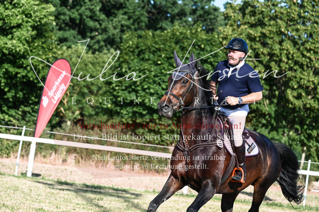 DSC_2998 | Pferde- und Turnierfotografie in Westsachsen. Pferdeportraits, Auftragszeichnungen und intuitive Kunst.