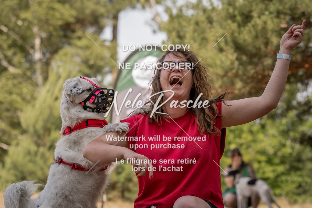 nelerasche_soDD2_411 | nelerasche