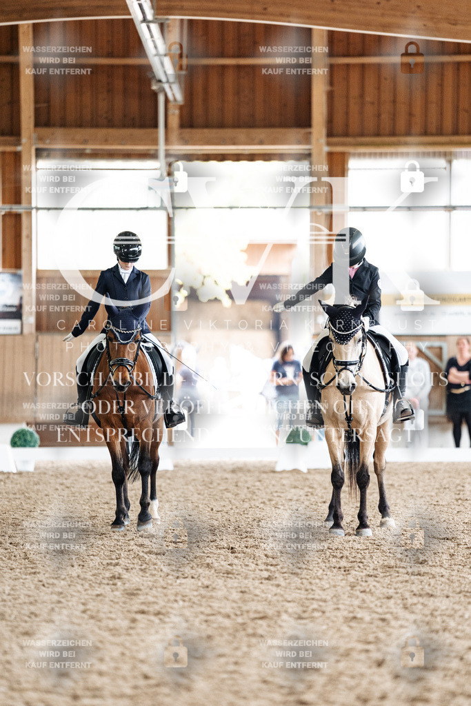 CK901593 | Turnierfotografie Pferdefotografie Trier Rheinland-Pfalz Pferdesport Reitsport Tierfotografie Sportfotografie Pferdevideo Pferdevideografie Equestrianvideography equestrianphotography  - Realisiert mit Pictrs.com