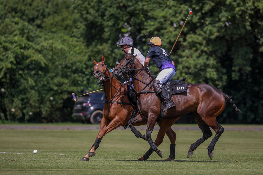 1_LaMaisonVsEasybill.de_200525_007 | Bildergalerie von Sport-Ereignissen aber auch von weiteren spannenden Dingen - nicht nur vom Niederrhein. In Anlehnung an den bekannten Spruch von Hanns Dieter Hüsch heißt das Motto: "Niederrhein ist überall".  - Realisiert mit Pictrs.com