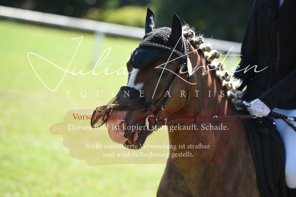 DSC_9472 | Pferde- und Turnierfotografie in Westsachsen. Pferdeportraits, Auftragszeichnungen und intuitive Kunst.