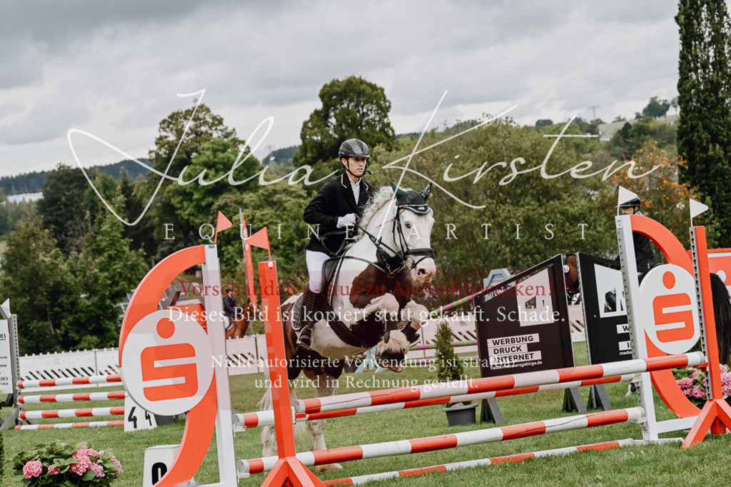 DSC_6747 | Pferde- und Turnierfotografie in Westsachsen. Pferdeportraits, Auftragszeichnungen und intuitive Kunst.