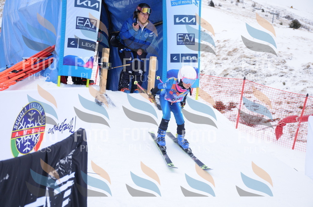 DSC_7894 | holidayphoto