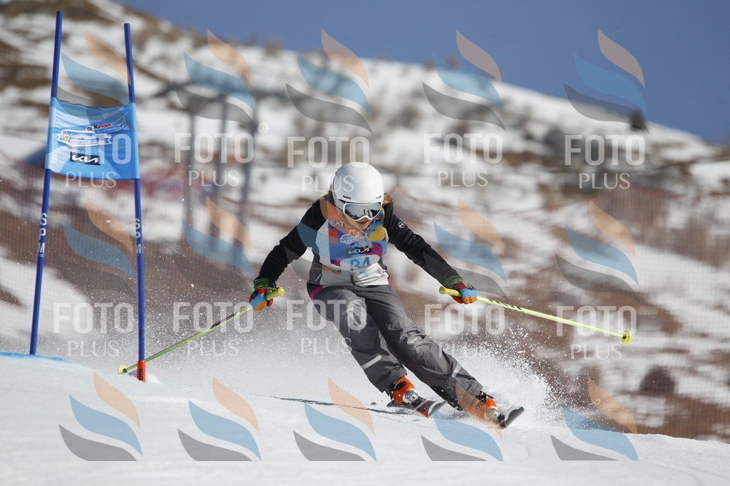 _U3G9105 | holidayphoto