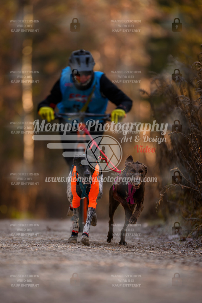 MompixPhotography_DM_AKDM_SO_2025_Scooter-28 | PayLife