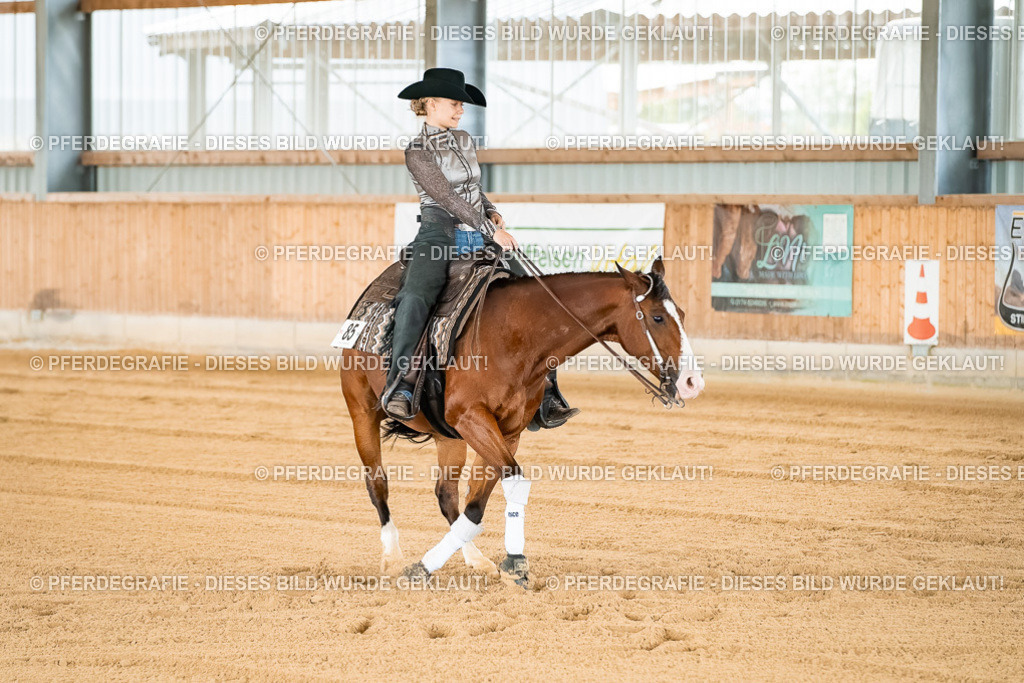 DSC02752 | Pferdegrafie