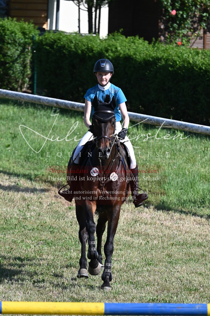 DSC_2360 | Pferde- und Turnierfotografie in Westsachsen. Pferdeportraits, Auftragszeichnungen und intuitive Kunst.