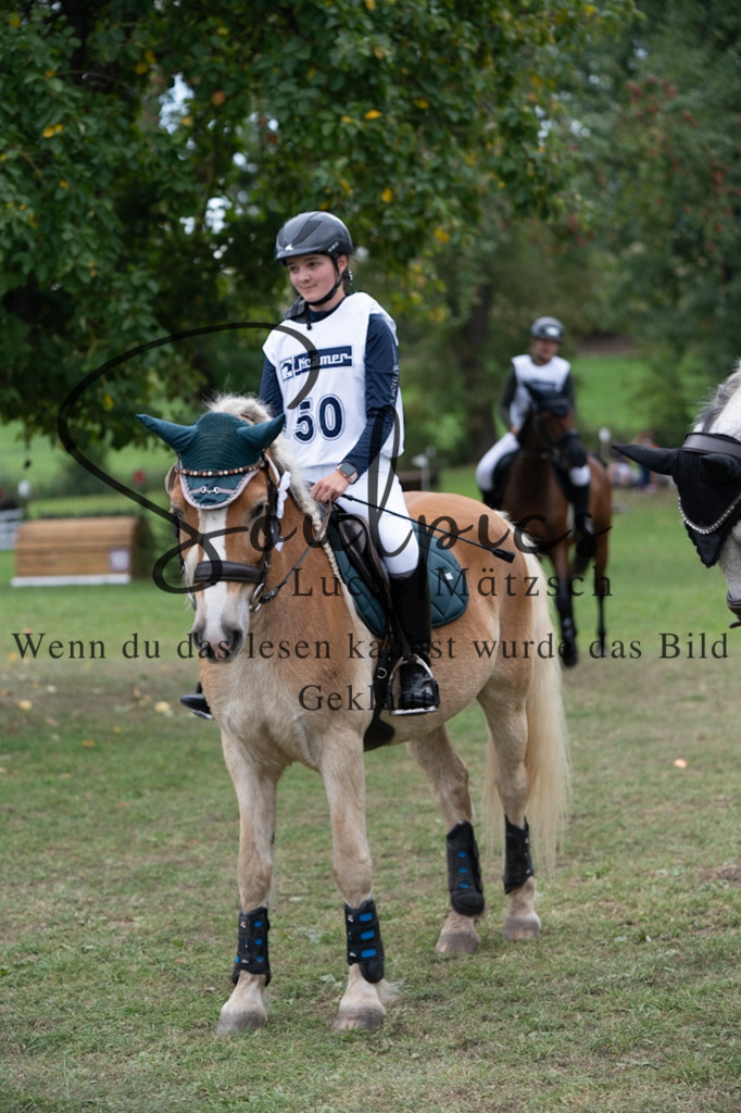 A7V03605 | Pferdefotograf