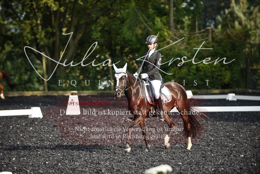 DSC_3402 | Pferde- und Turnierfotografie in Westsachsen. Pferdeportraits, Auftragszeichnungen und intuitive Kunst.