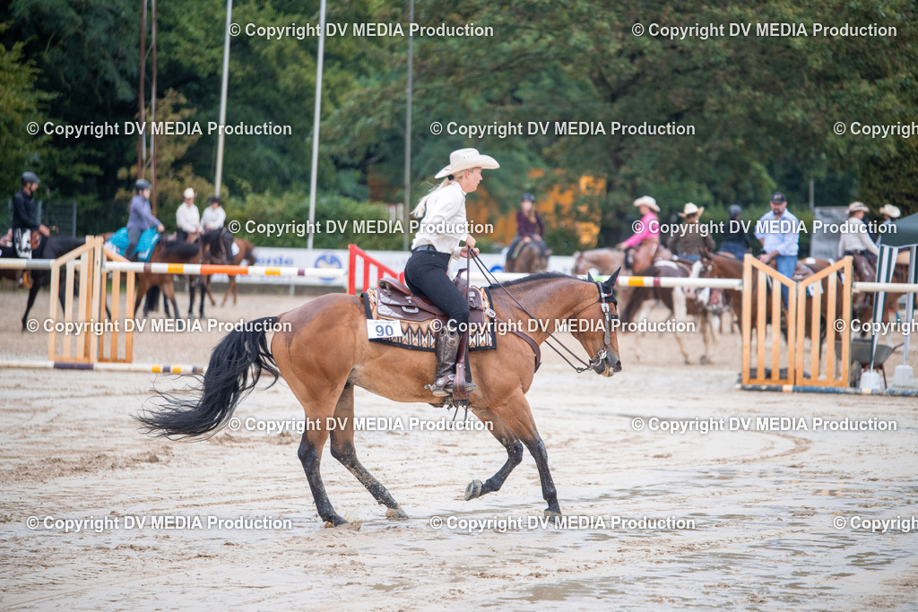 ZS2_4207 | dv-media-shop - Realisiert mit Pictrs.com