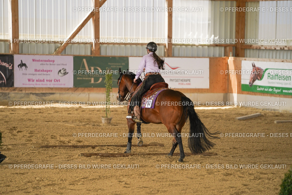 DSC06092 | Pferdegrafie