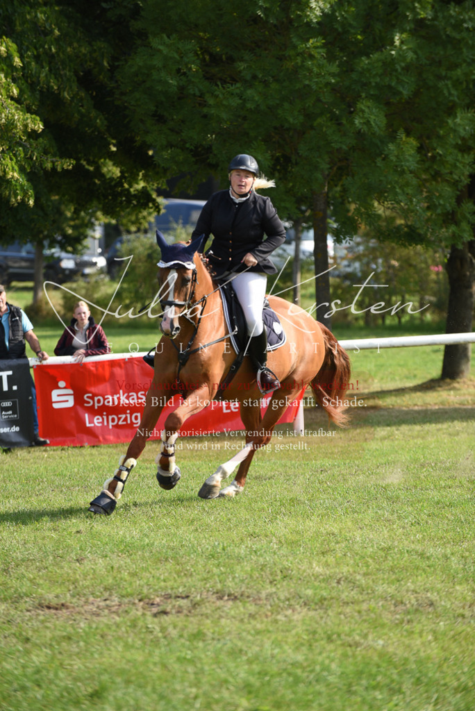 DSC_8700 | Pferde- und Turnierfotografie in Westsachsen. Pferdeportraits, Auftragszeichnungen und intuitive Kunst.