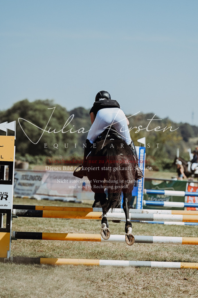 DSC_9848 | Pferde- und Turnierfotografie in Westsachsen. Pferdeportraits, Auftragszeichnungen und intuitive Kunst.